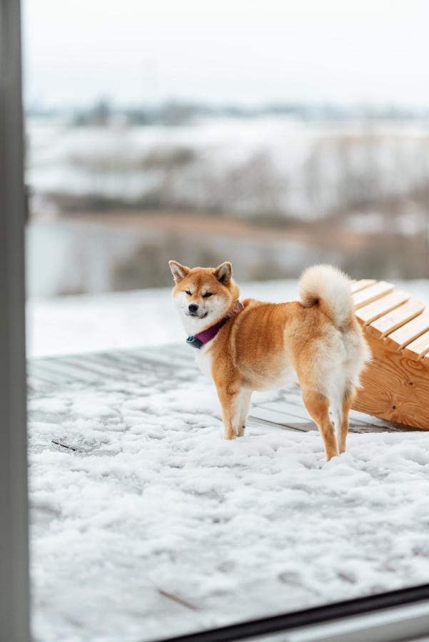 Apartmán Kujezioru Kleszczyn Exteriér fotografie